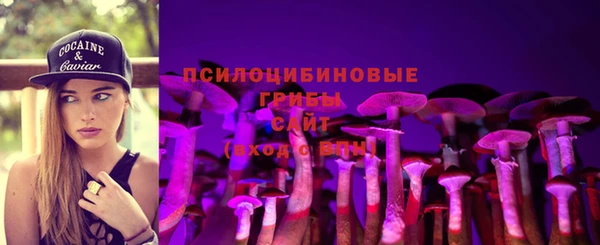 соль ск Богородск