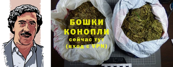 соль ск Богородск