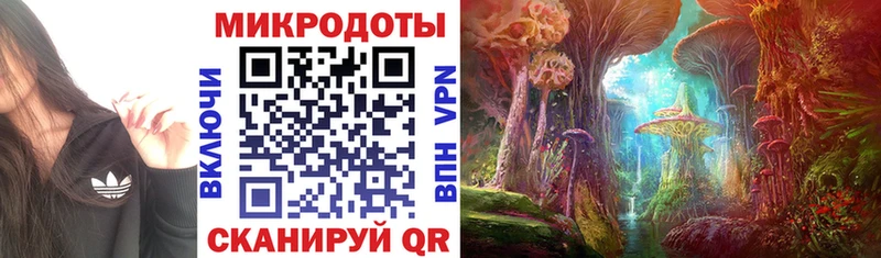Псилоцибиновые грибы мухоморы  Шатура 